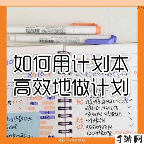 圣岛季念之灵位置探索，资源管理、高效利用与避免浪费